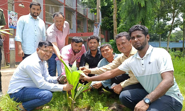 কচুয়া ছাত্রদলের নেতা ইমাম হাসানের উদ্যোগে বৃক্ষরোপণ &nbsp;&nbsp;